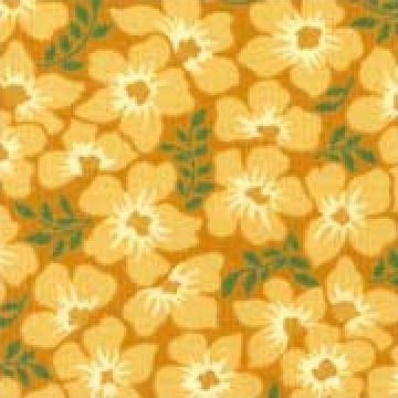 RJR - Thimbleberries - Border Blast - Southern Skies - 9001-1
