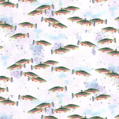 RJR - Daily Catch 102-RA2D