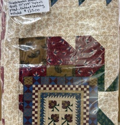 Thimbleberries Summertime Quilt - pieced